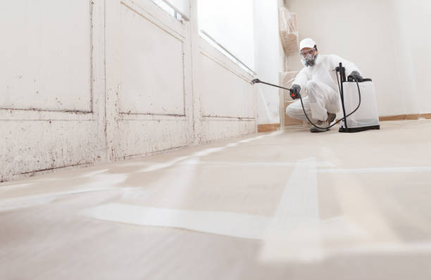 24/7 Emergency Basement Mold Removal experts in Groveland, MA
